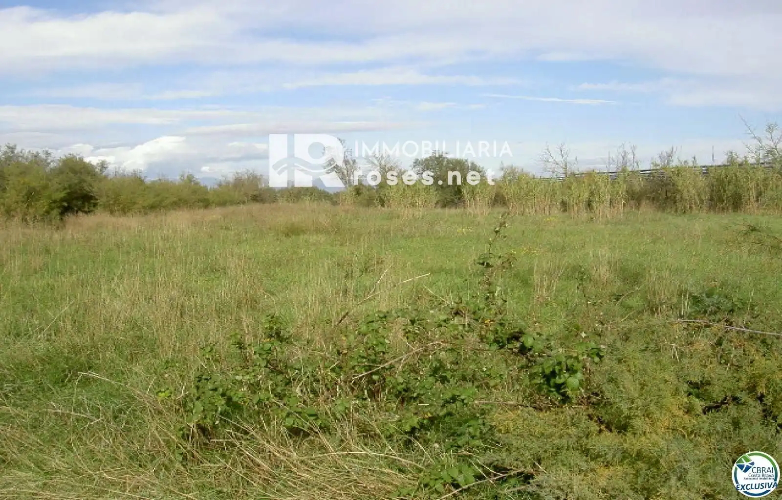 Rural land for sale in cortal vell, imagen 10