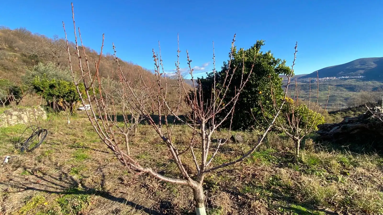 Terreni e lotti in vendita a El Torno, imagen 11