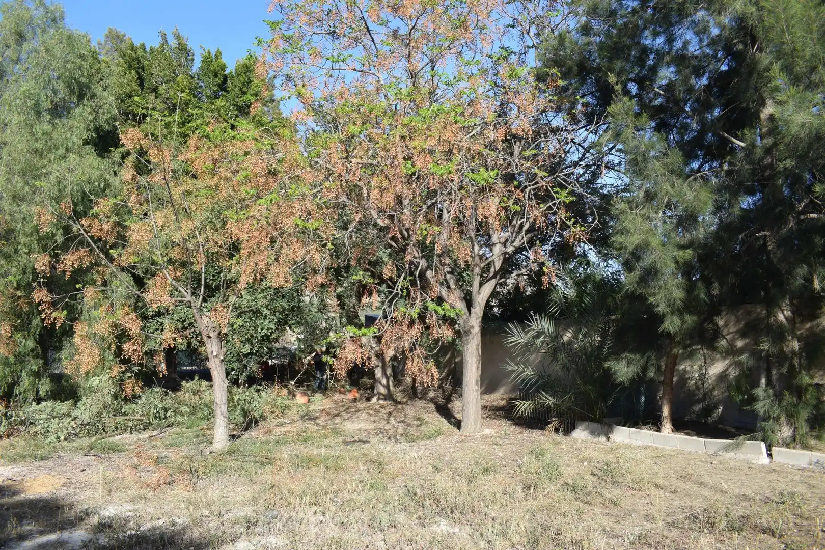 Houses for sale in Redován  with Air Conditioner, Private garden and Terrace