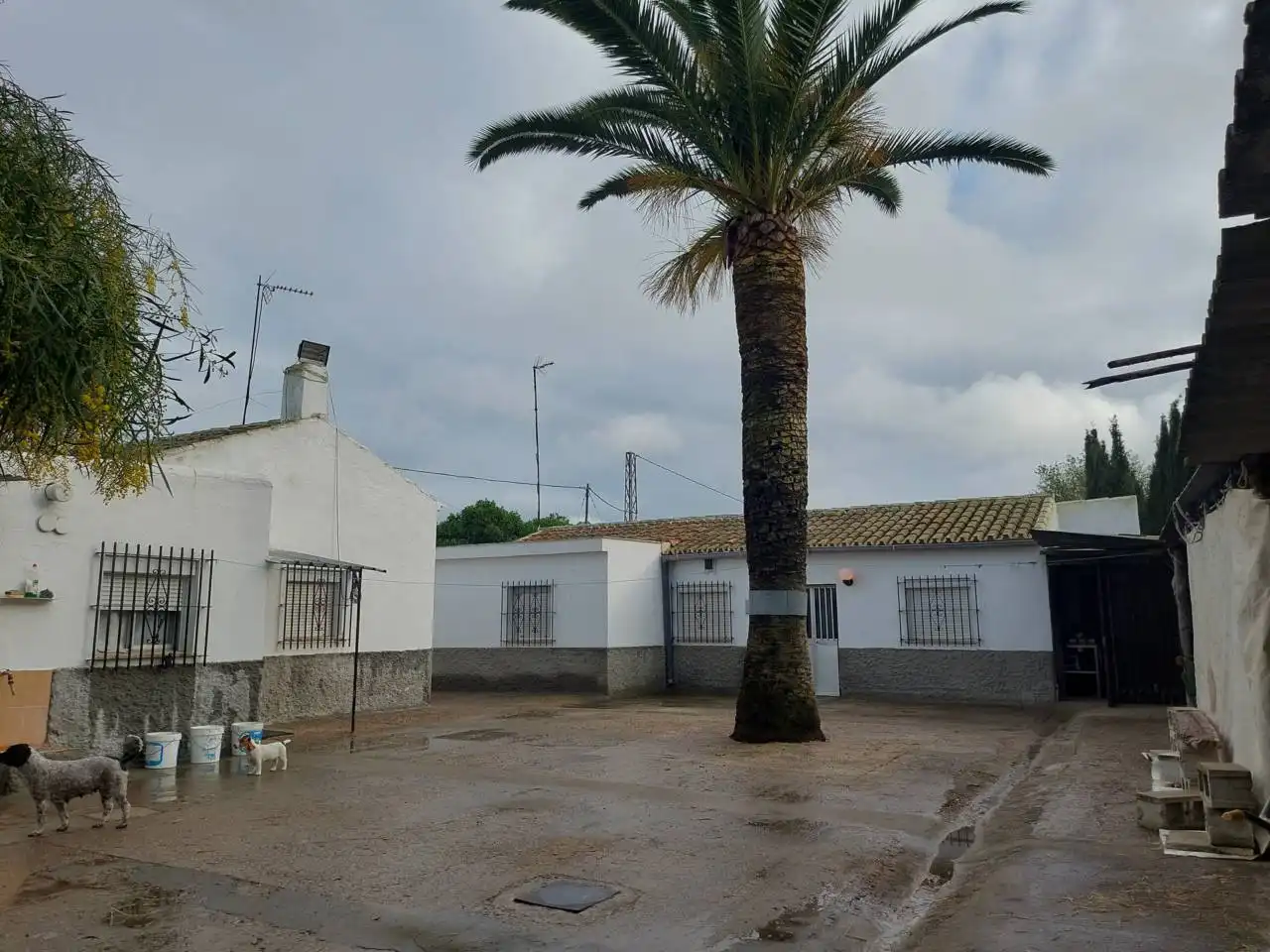 Terreno rústico en venta en Jerez norte - Montealto - Pozoalbero, imagen 4