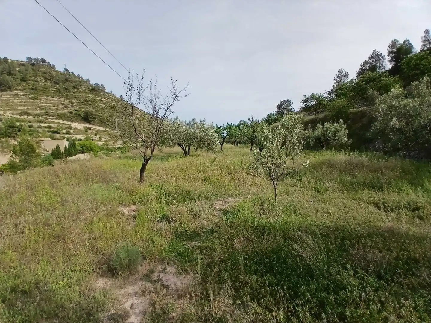 Terrenos y solares en venta en CV778, imagen 5