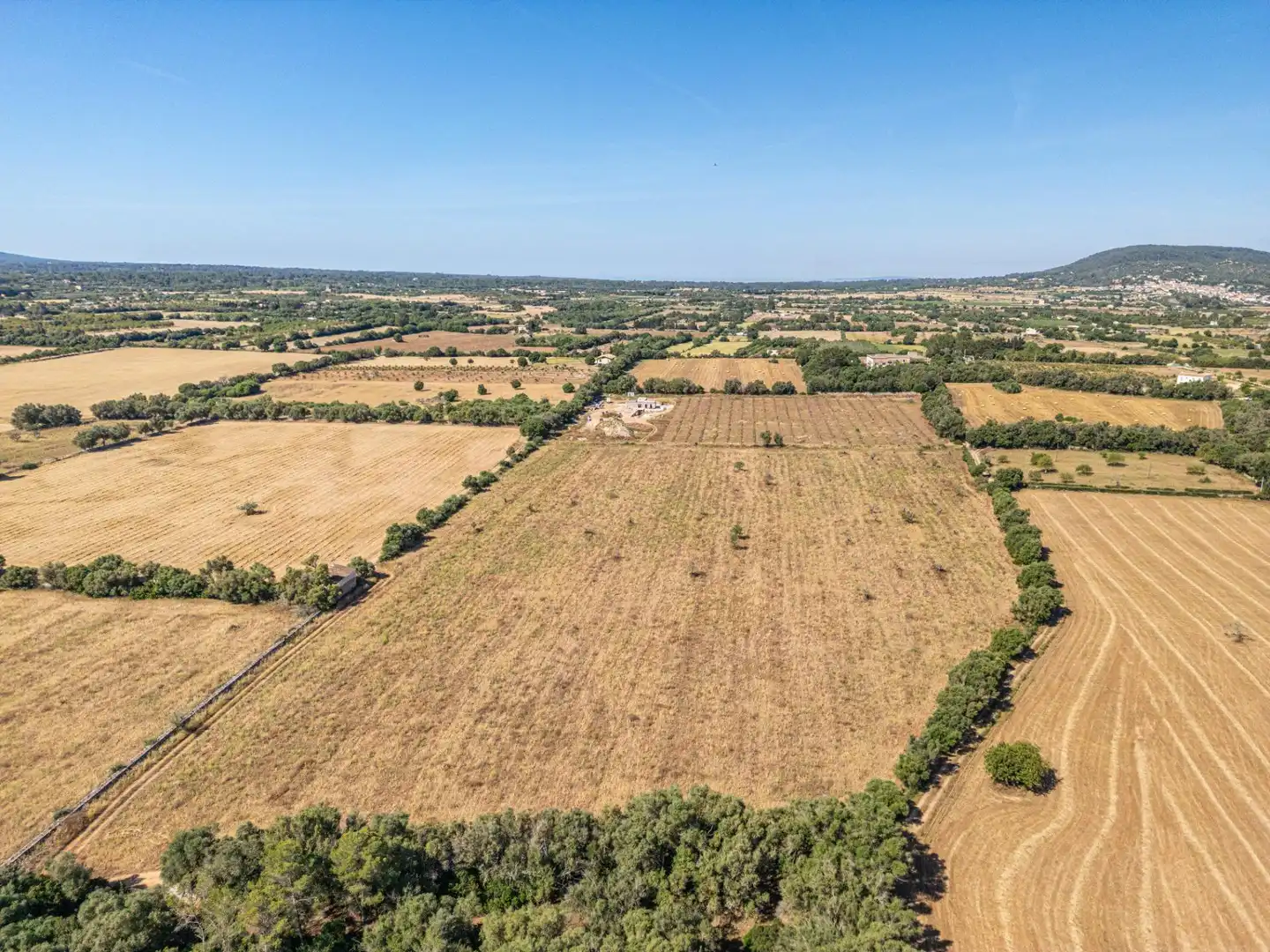 Rural land for sale in Sencelles, imagen 5