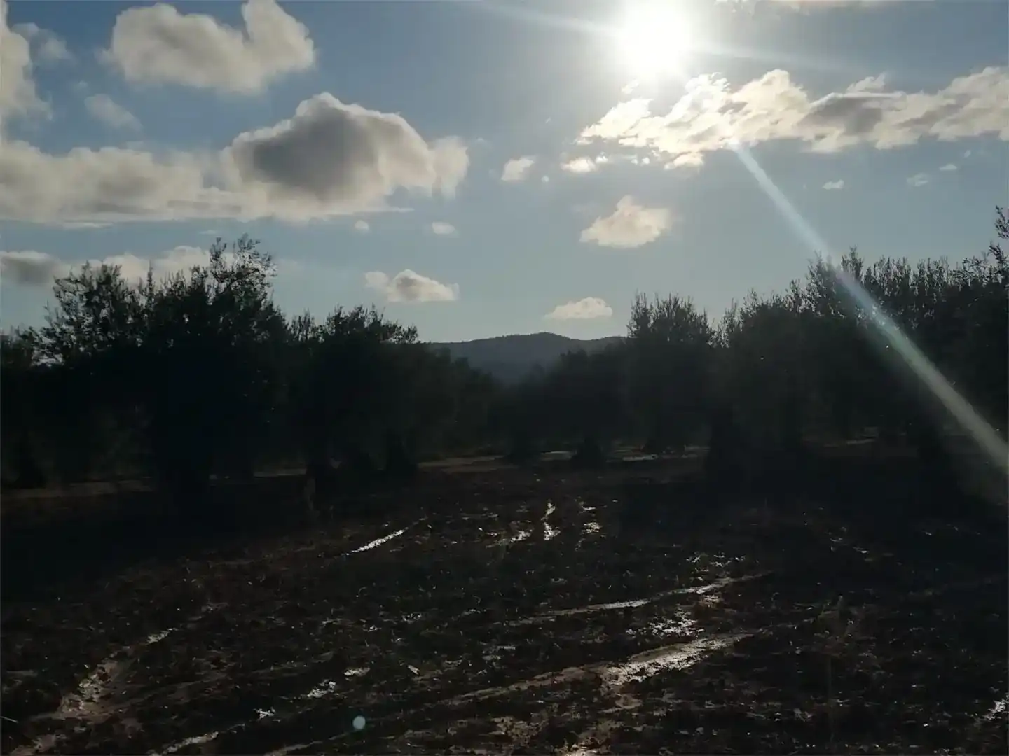 Terreno en venta en Arroyomolinos (Cáceres)