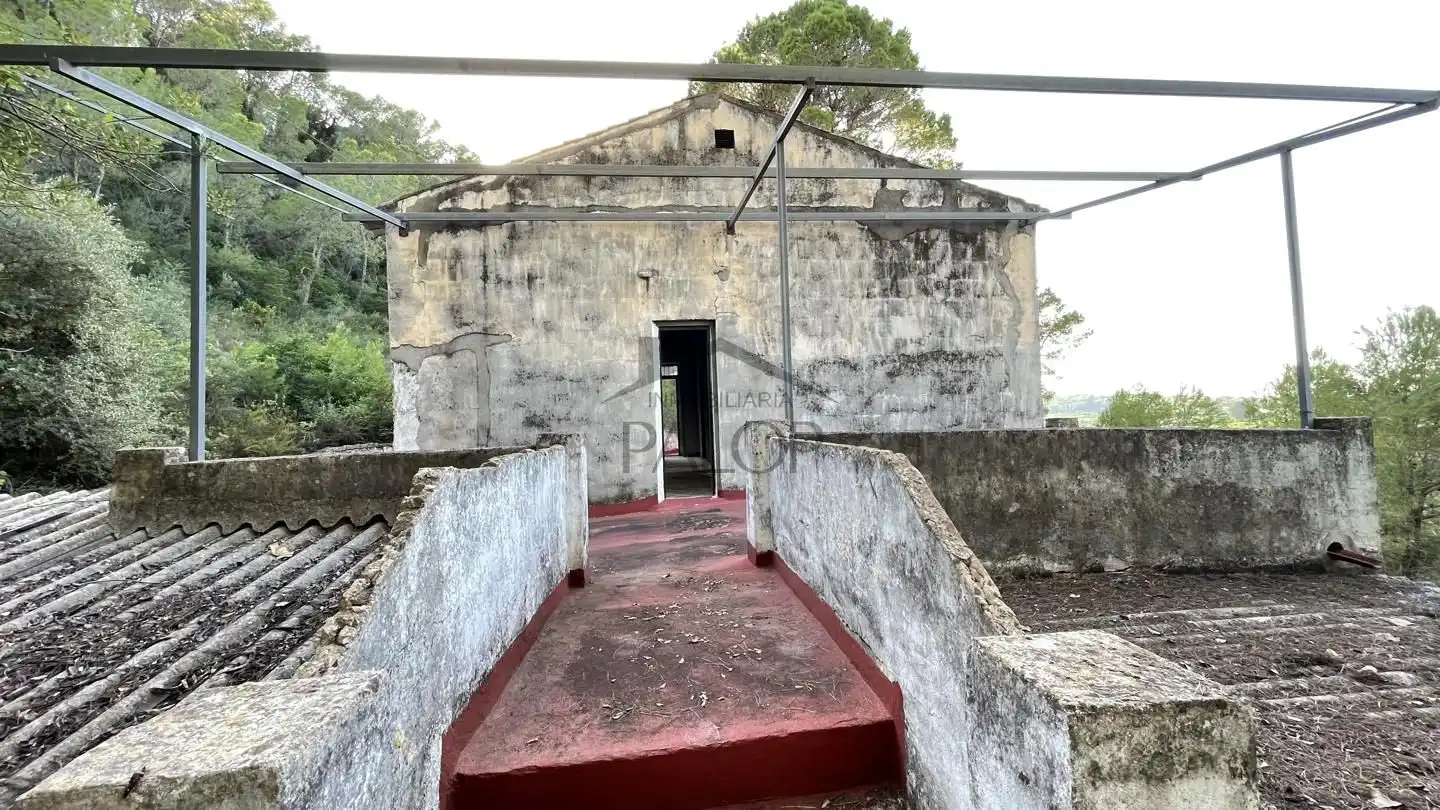 Casa rustica in vendita a Carcaixent, imagen 39