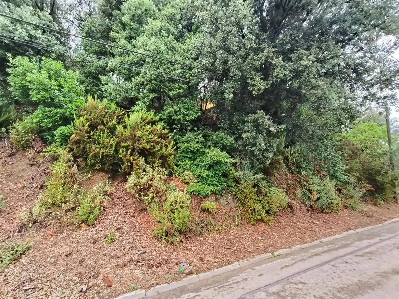Wohnbaugrundstück zum Verkauf in Carrer Serra de Sant Feliu, 44, 08211 Castellar del Vallès, Barcelona, Spain 44, imagen 3