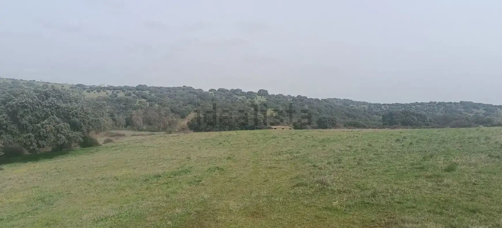 Land for sale in Guijo de Ávila
