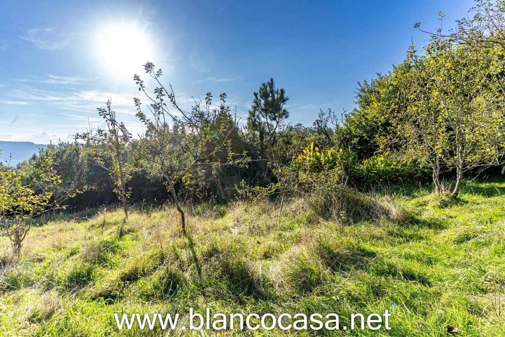 Casa con giardino in vendita a A Laracha, imagen 73