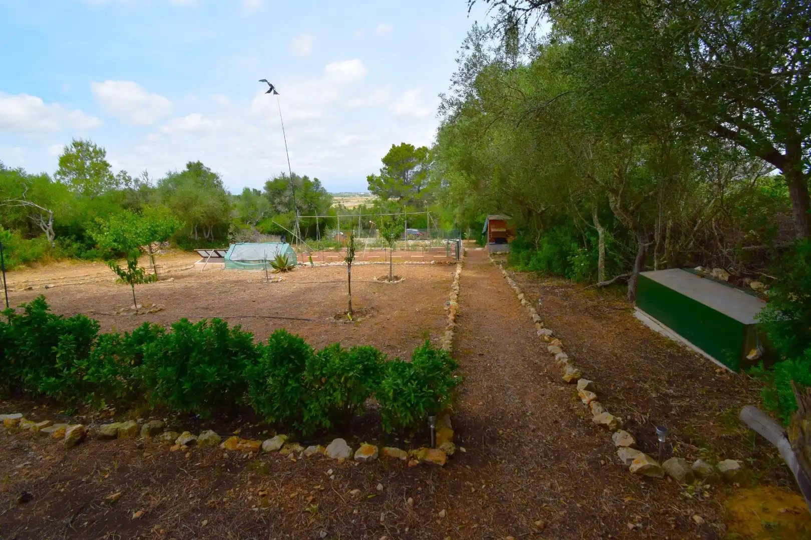 Finca rústica en venda a Petra