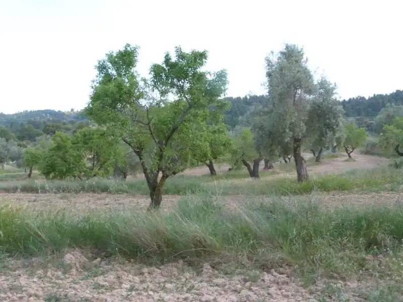 Country homes for sale in Valjunquera