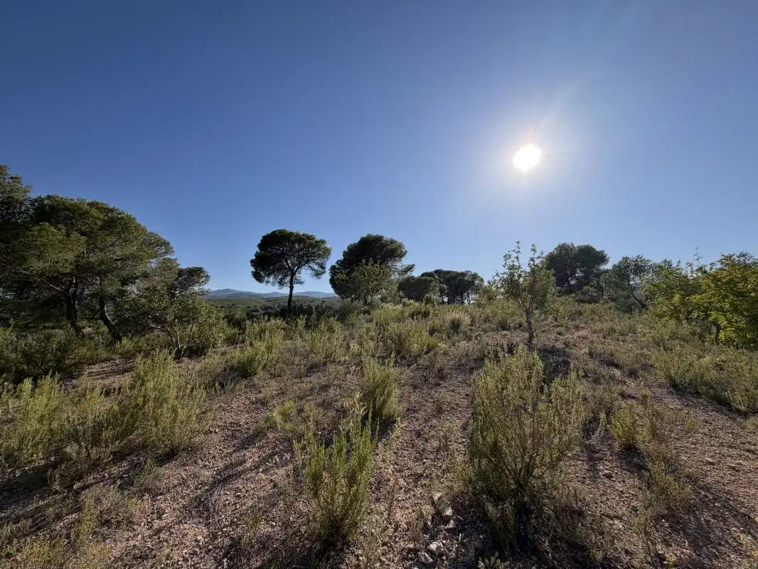 Finca rústica en venda en Pedralba amb Calefacció, Jardí privat i Terrassa