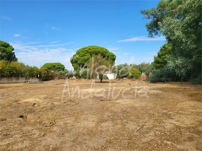 Maison avec piscine à vendre à Marchena, imagen 3