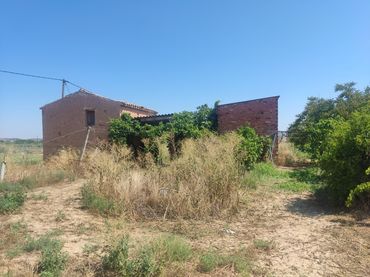 Terreny rústic en venda a Ascó