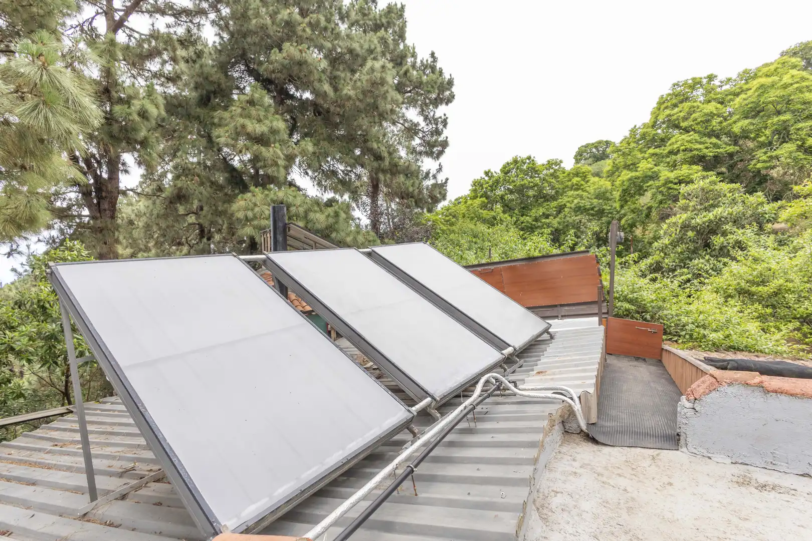 Jardín de Finca rústica en venta en San Juan de la Rambla con Aire acondicionado, Calefacción y Jardín privado