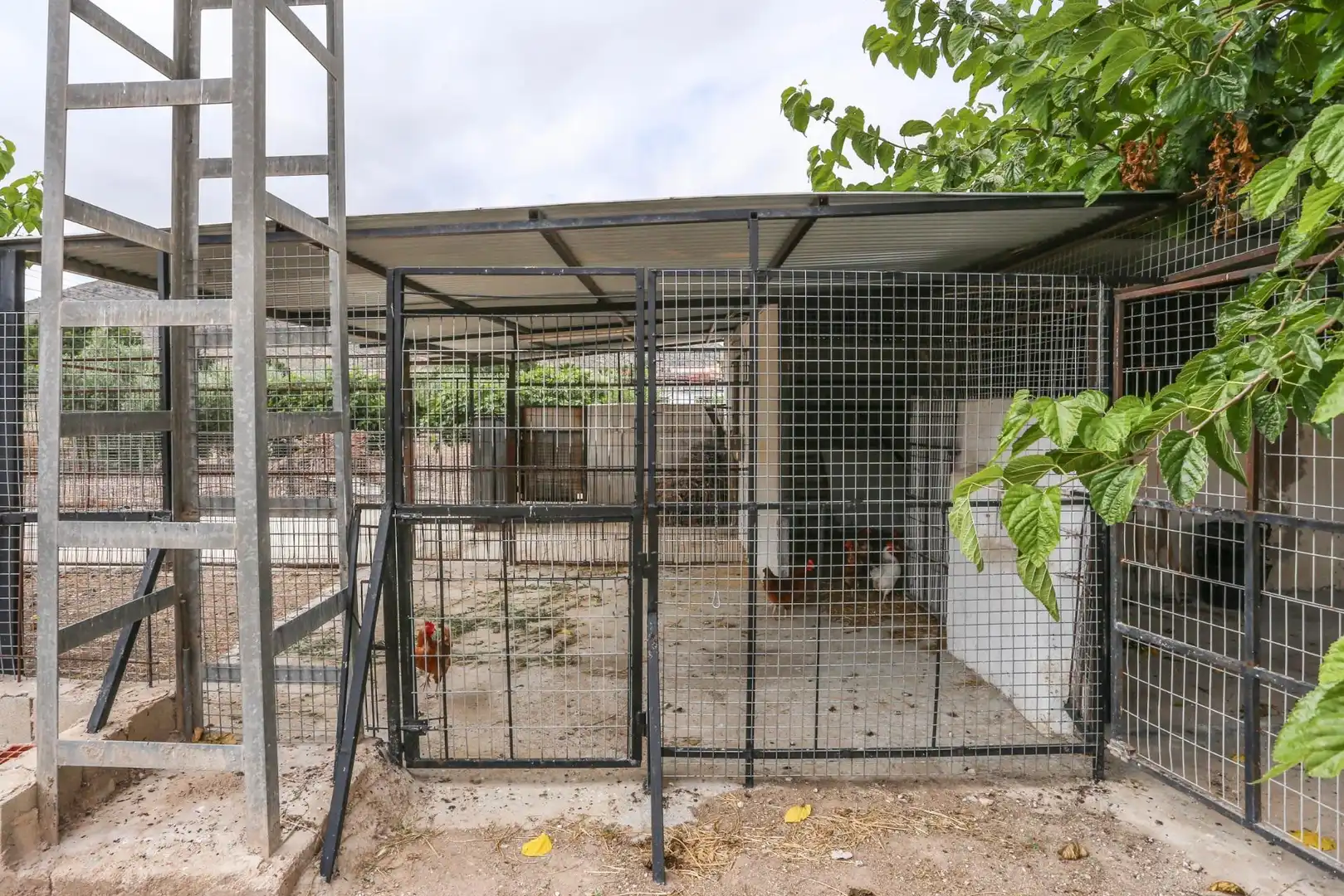 Jardí de Casa o xalet en venda en Elda amb Aire condicionat, Calefacció i Jardí privat