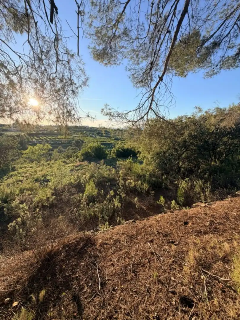 Terreny residencial en venda a El Juncal - Vallealto, imagen 9