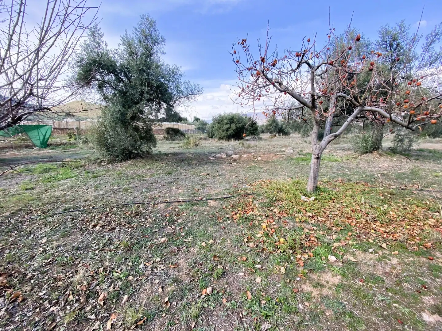 Casa o xalet en venda en Canjáyar amb Aire condicionat, Calefacció i Terrassa