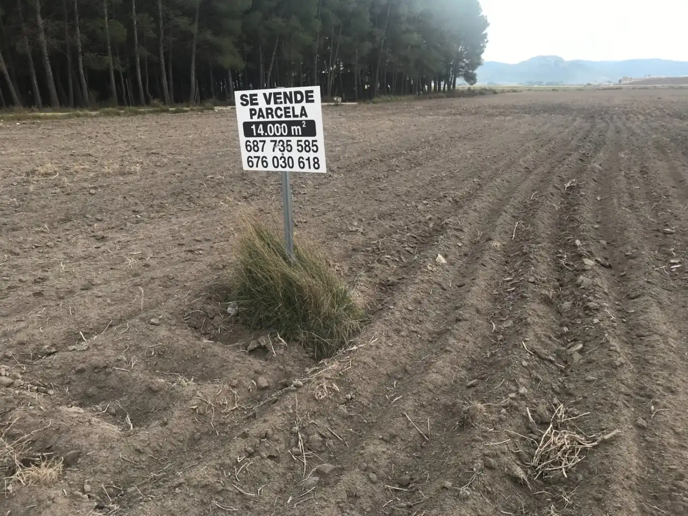 Grundstücke zum Verkauf in Villena