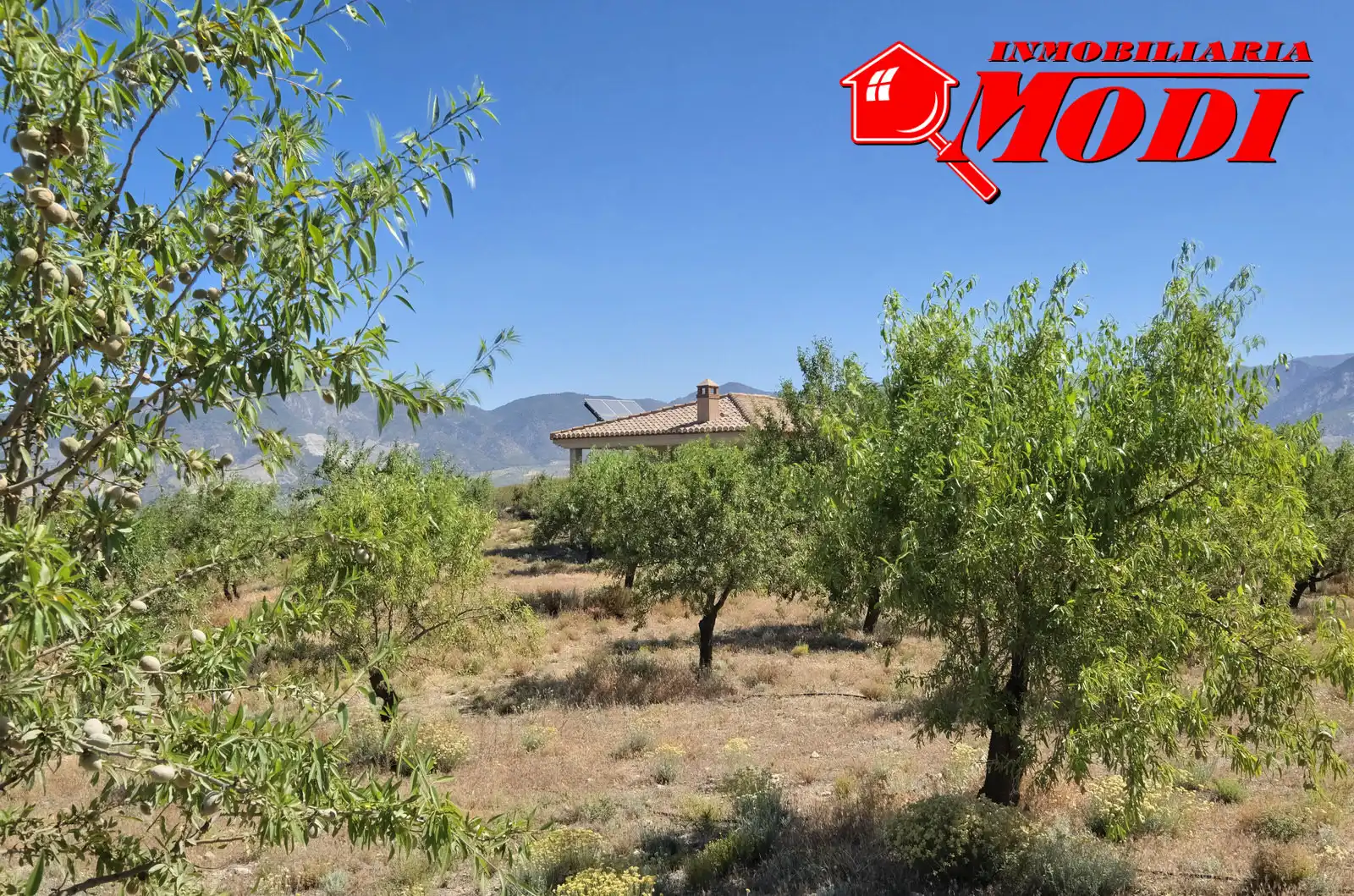 Casa rústica amb jardí en venda a Villamena, imagen 9