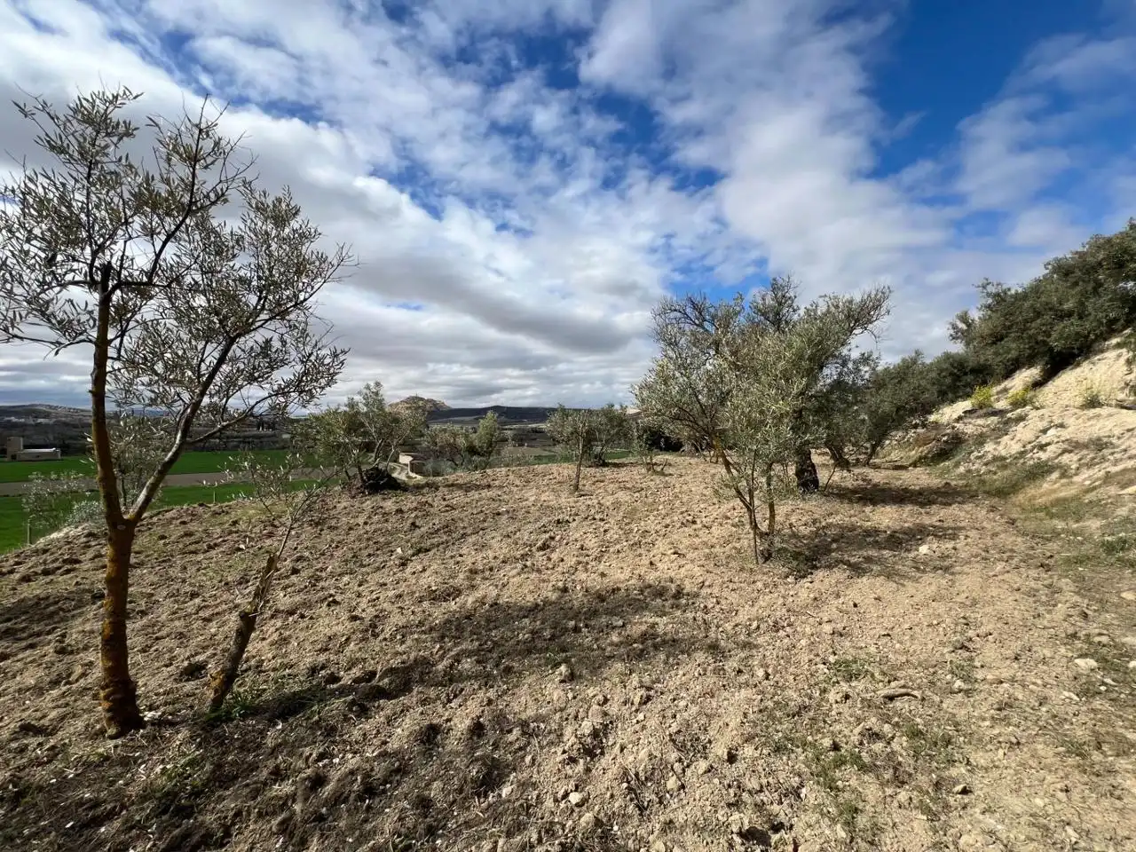 Terrenys i solars en venda a Ayuntamiento, imagen 9