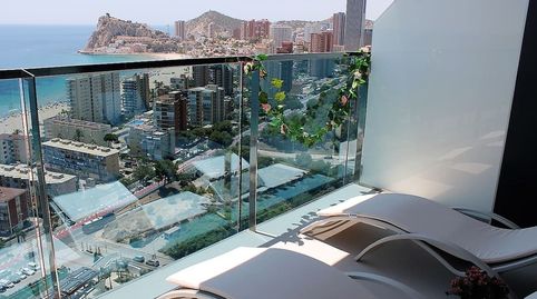 Foto 3 de Apartamento de alquiler en Playa Poniente, Benidorm