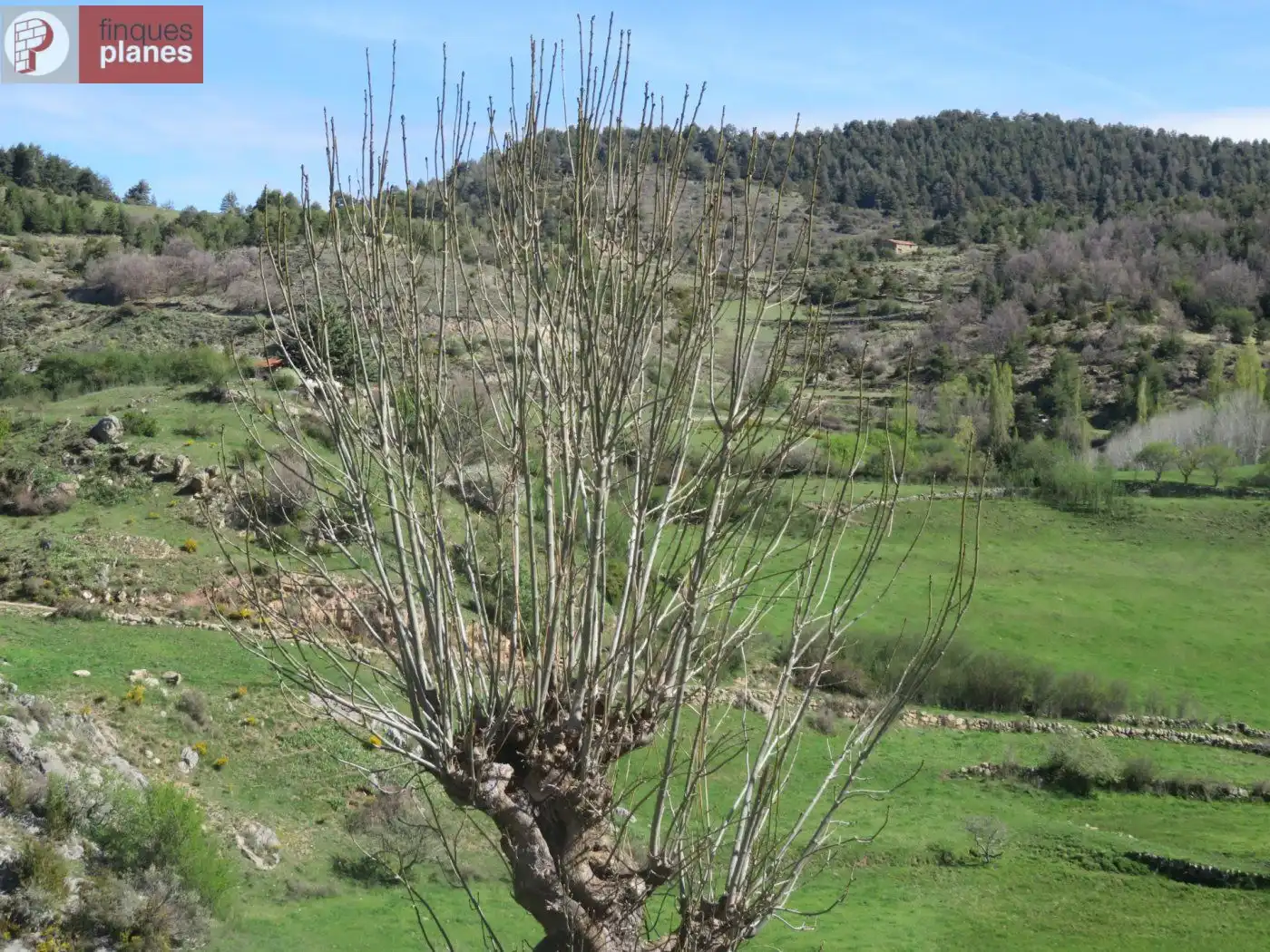 Jardín de Finca rústica en venta en La Vansa i Fórnols