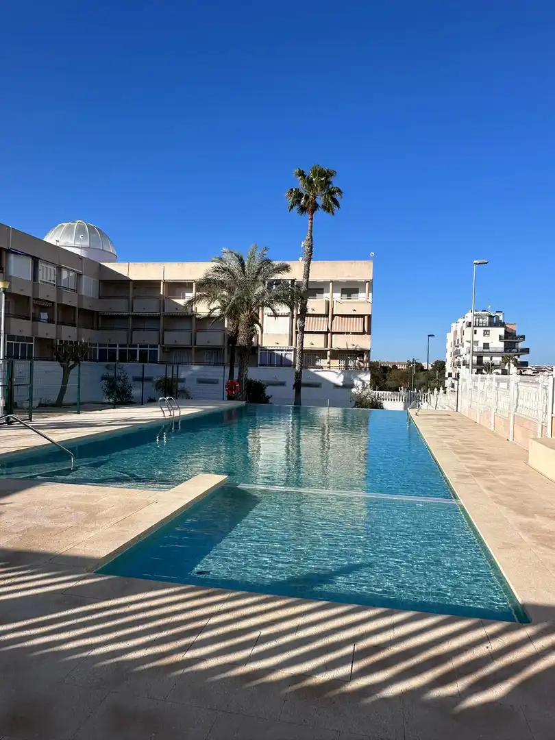 Flat for rent in de Holanda, Mil Palmeras