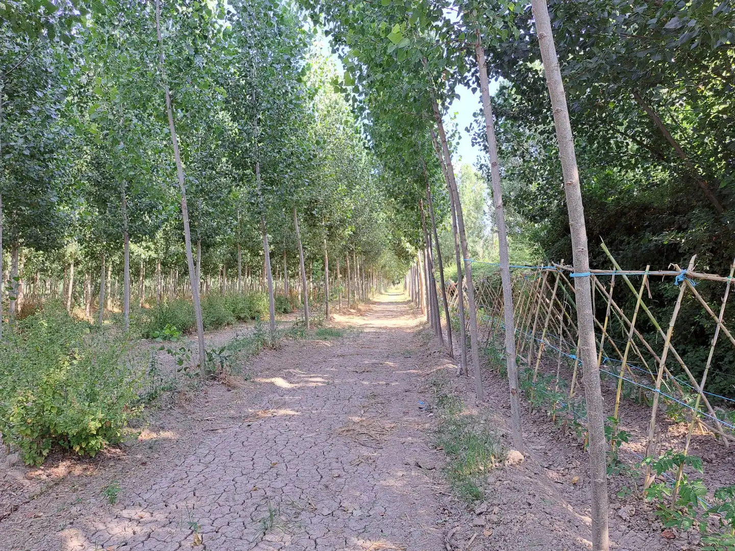 Exterior view of Land for sale in Fuente Vaqueros