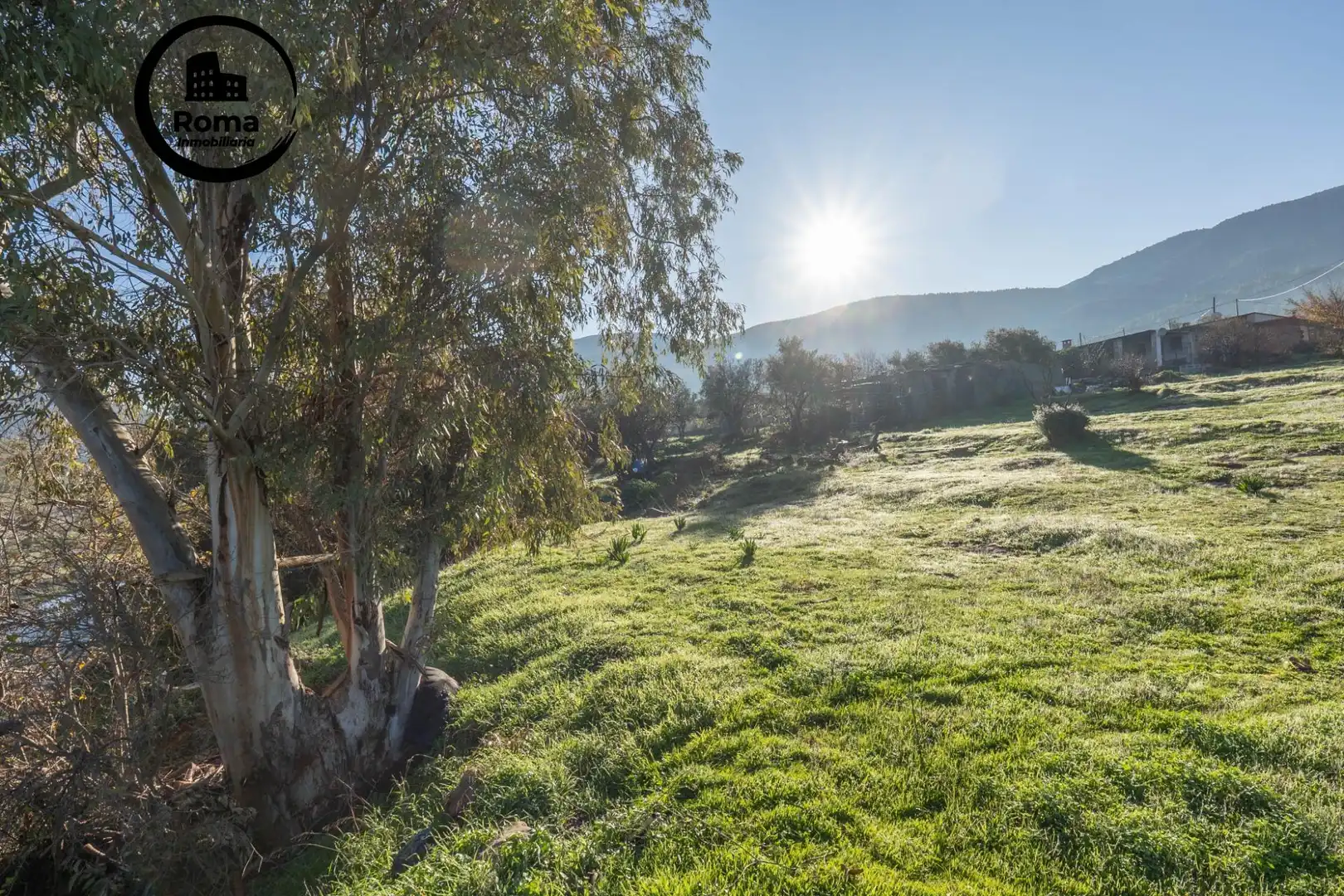Rural land for sale in Órgiva, imagen 16