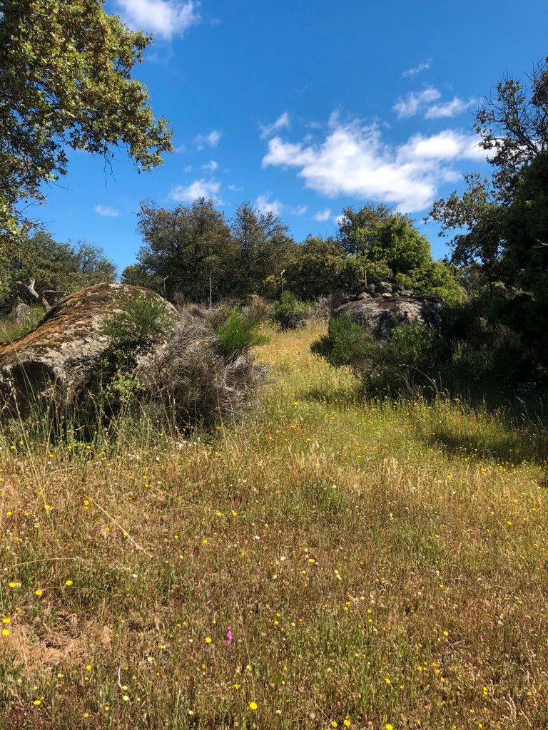 Terreno en venta en Cenicientos