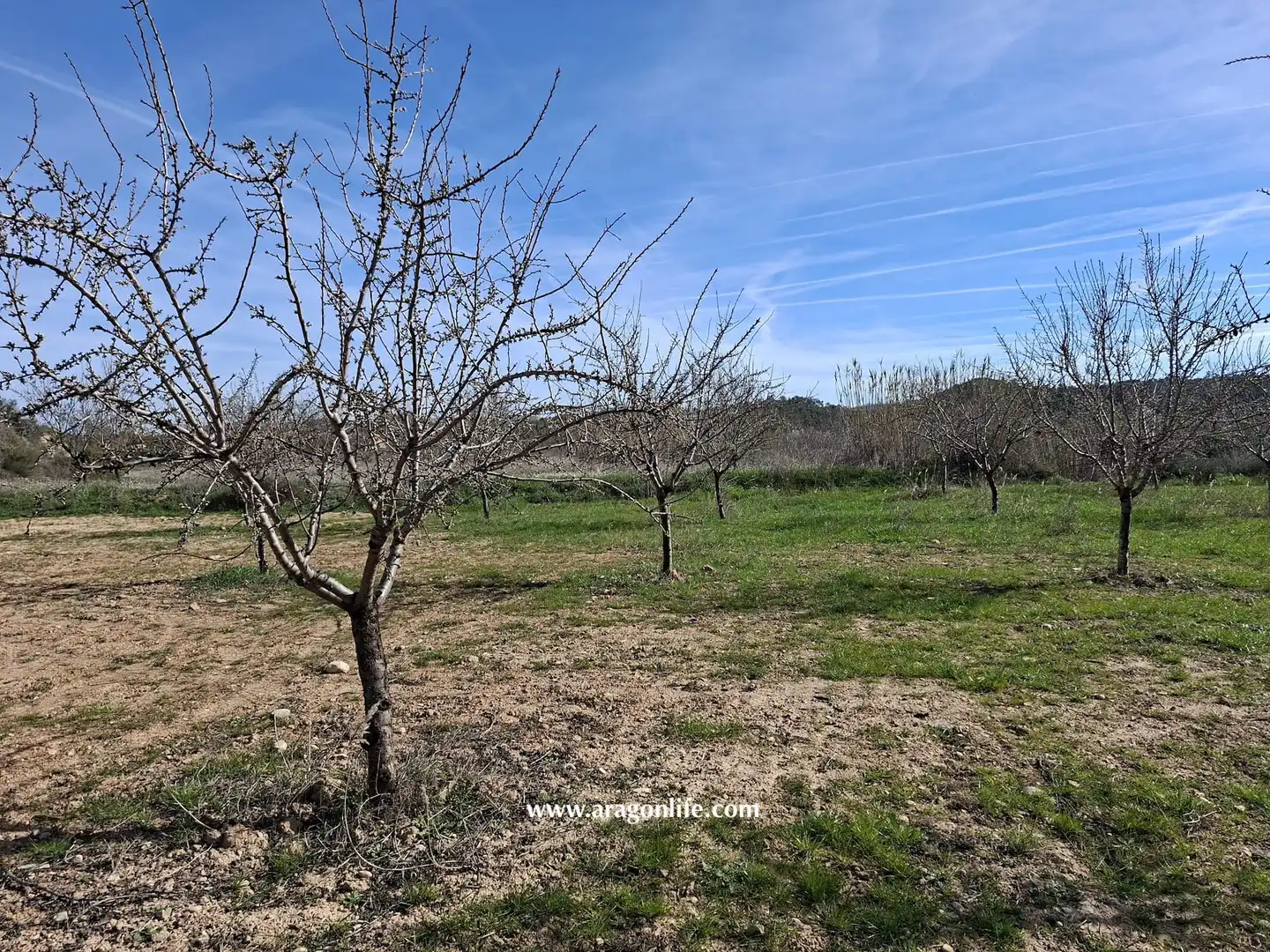 Land for sale in Fabara