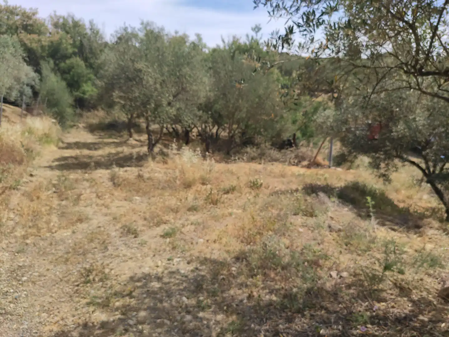 Terreni e lotti in vendita a poligono 3- parcela 102 0, imagen 25