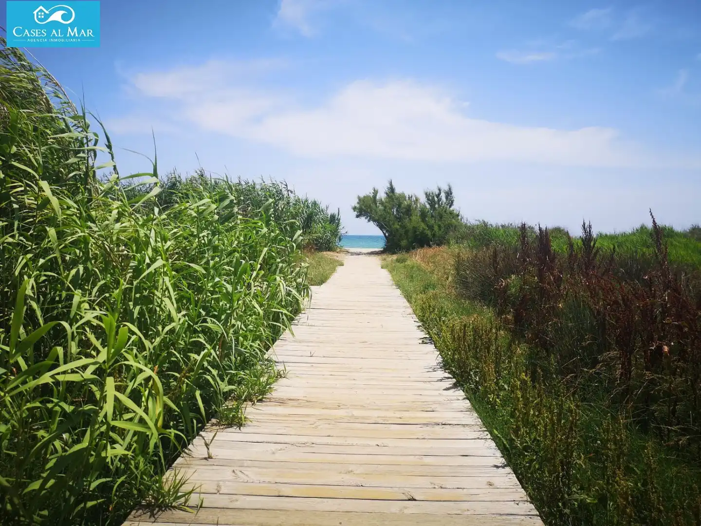 Apartamento en venta en UR PAI SECTOR TORRELASAL, 1, Cala Blanca