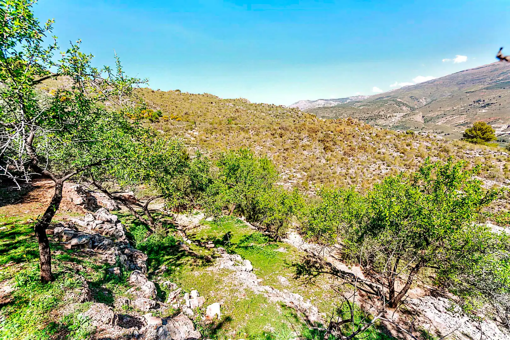 Terrain rustique à vendre à El Pinar, imagen 12