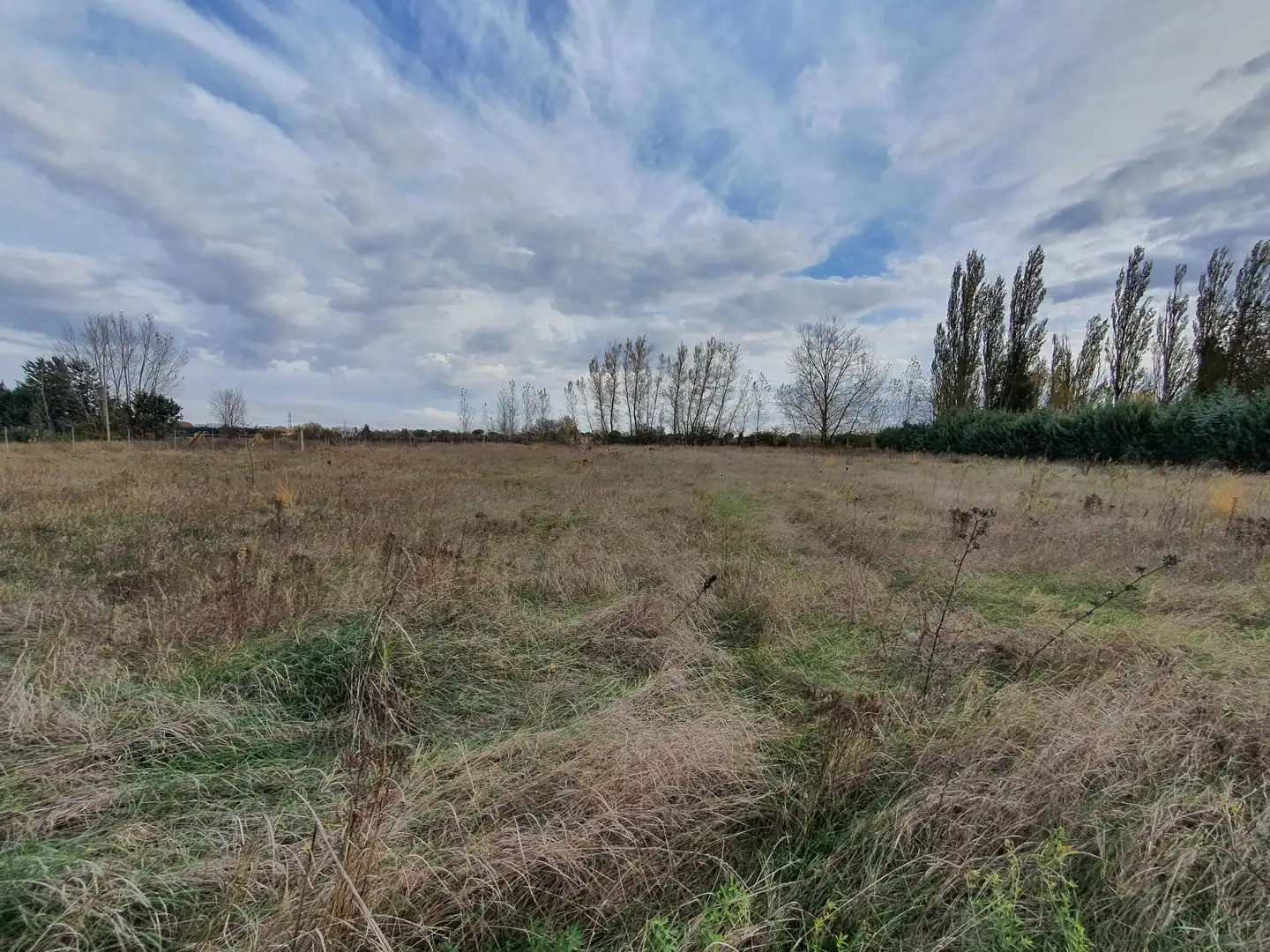 Terreni e lotti in vendita a La Viña y el Majuelo 18, imagen 4