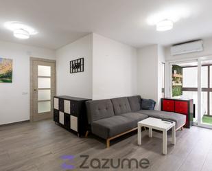 Living room of Flat to share in  Madrid Capital  with Private garden, Oven and Microwave