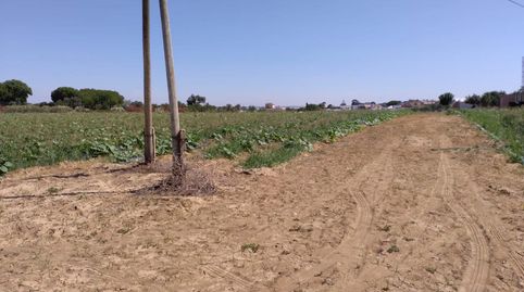 Foto 4 von Residential zum Verkauf in Monteolivete - Camino Sevilla, Sanlúcar de Barrameda