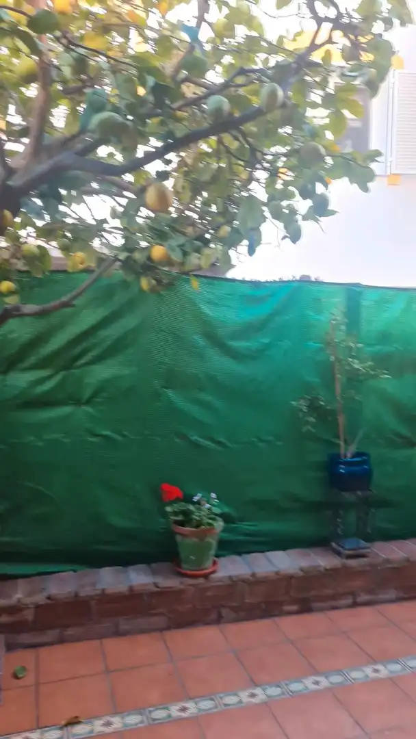 Adosado con terraza en venta en San Pedro de Alcántara, imagen 13