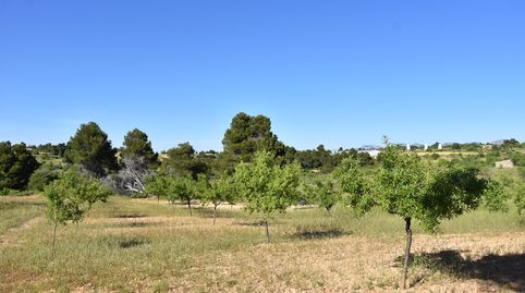 Finca rústica en Valderrobres, immagine 2
