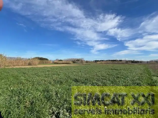 Terrenys i solars en venda a Cabanes, imagen 4