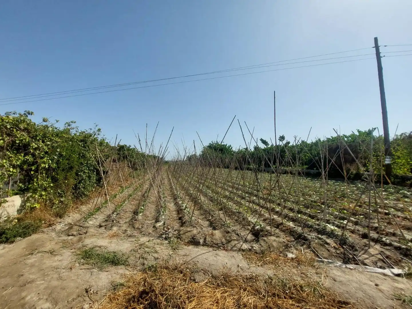 Terreno rústico en venta en Motril  ciudad, imagen 2