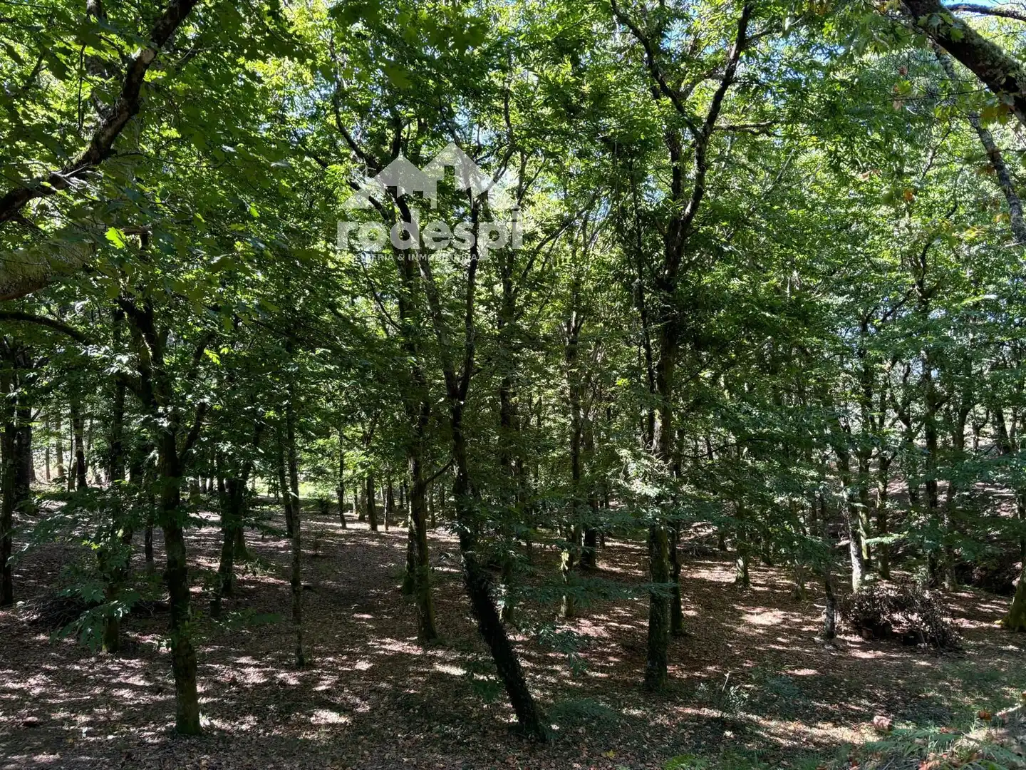 Terreny rústic en venda a A Cañiza, imagen 37