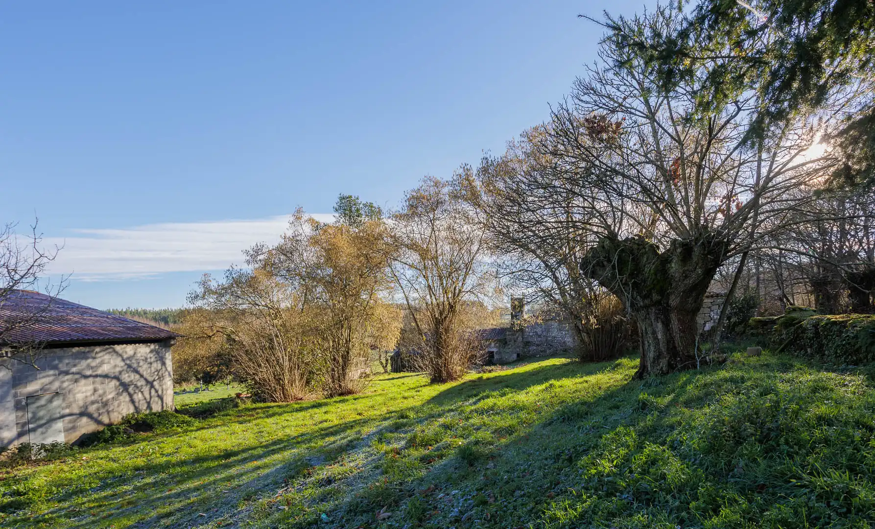 Finca rústica en venta en Antas de Ulla