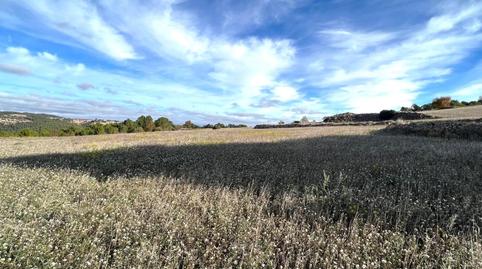 Foto 5 de Finca rústica en venda a Argençola, Barcelona