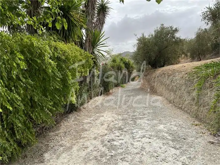 Casa rústica amb piscina en venda a Alcaudete, imagen 3