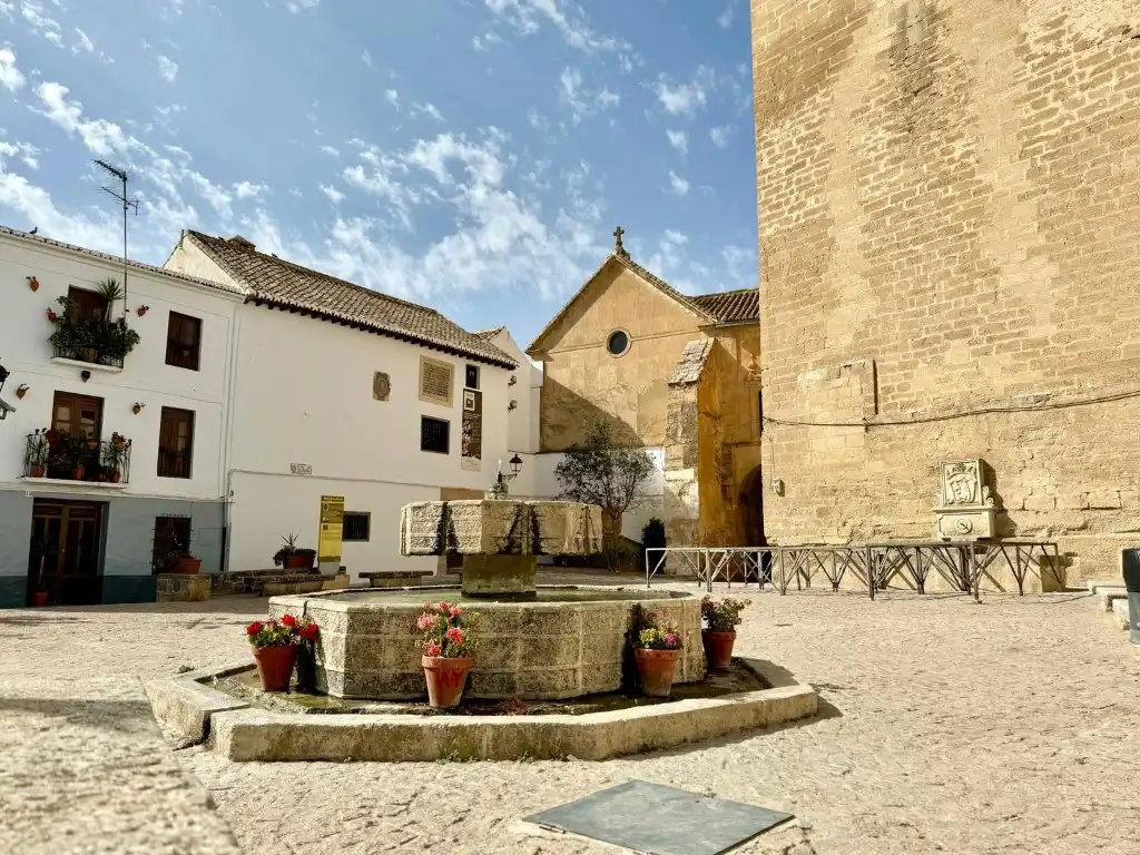 Maison avec terrasse à vendre à Plaza Presos, imagen 17