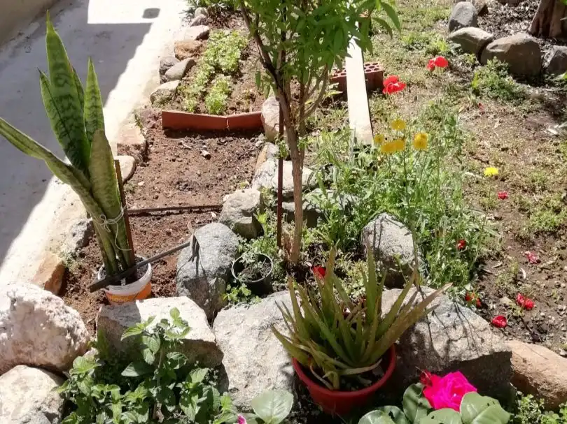 Jardín de Casa o chalet en venta en Campofrío con Calefacción, Jardín privado y Terraza