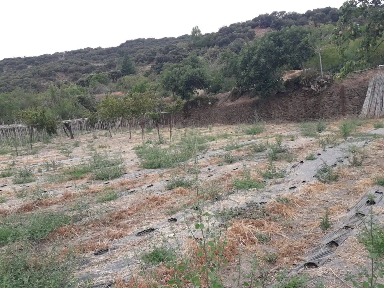 Terreni e lotti in vendita a Nevada, imagen 4