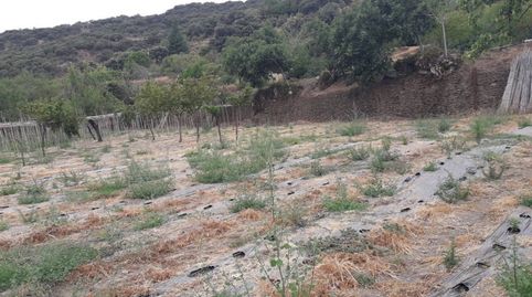Finca rústica en venta, immagine 4