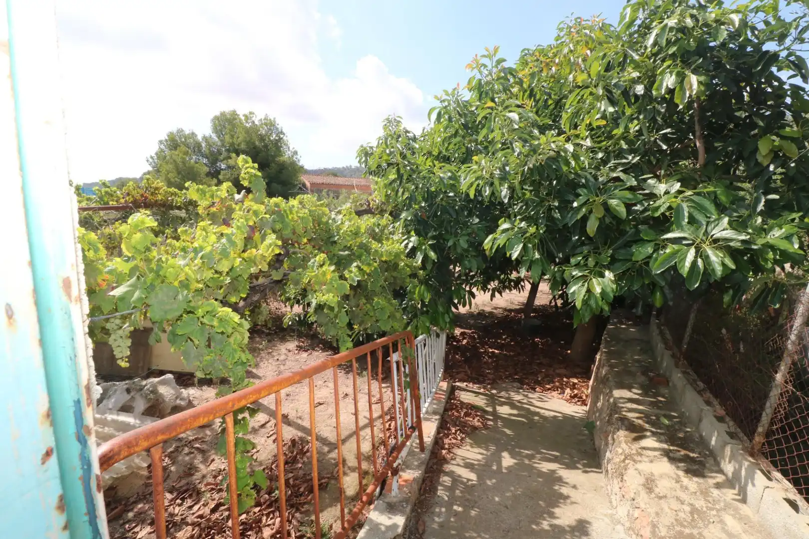 Jardín de Finca rústica en venta en Gilet