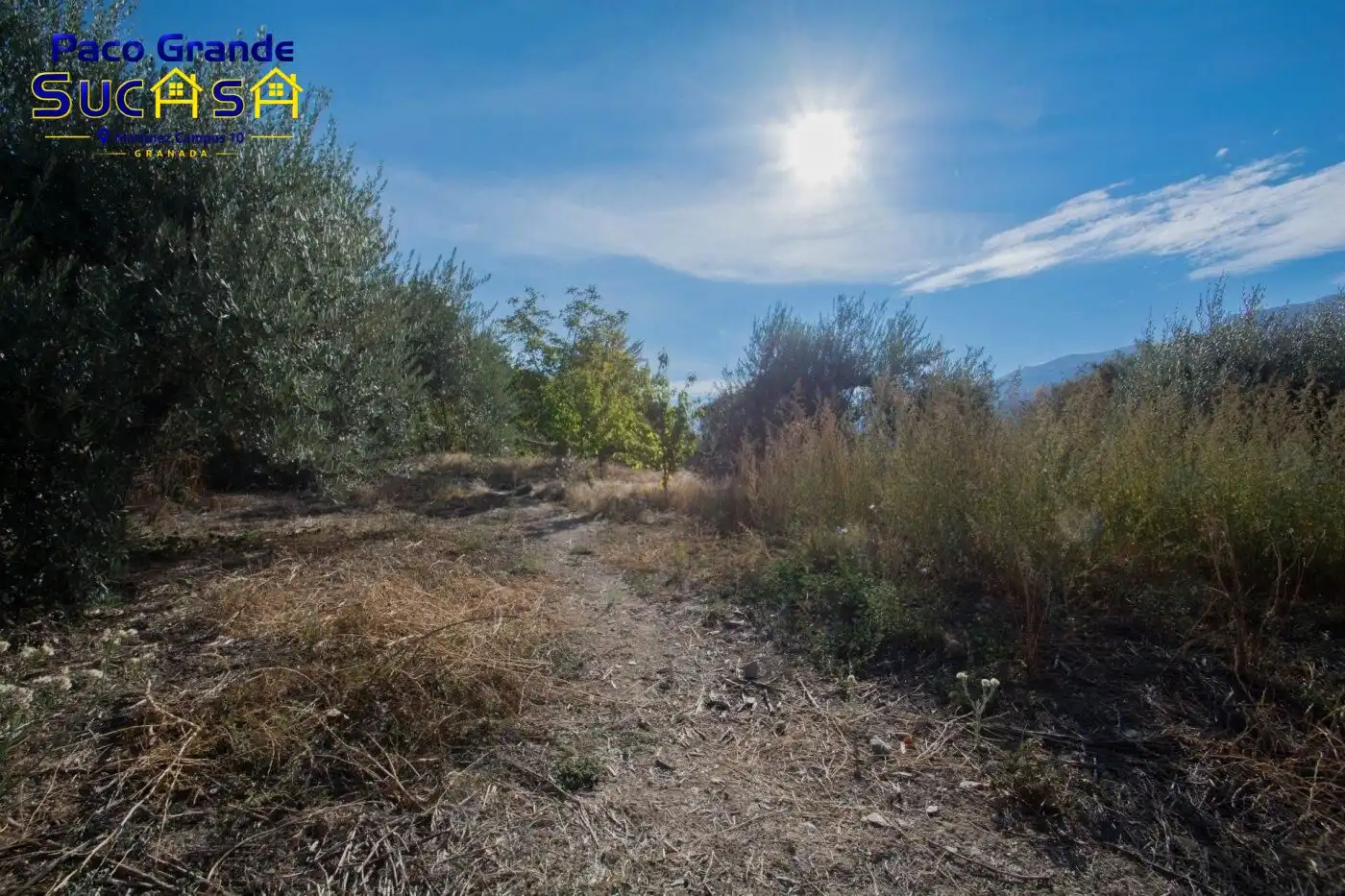 Casa o chalet en venta en Güéjar Sierra con Jardín privado, Terraza y Piscina